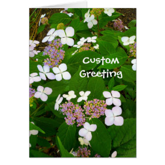 Plantilla de Hydrangea Aspera