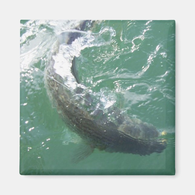 Plantilla de imán (Frente)