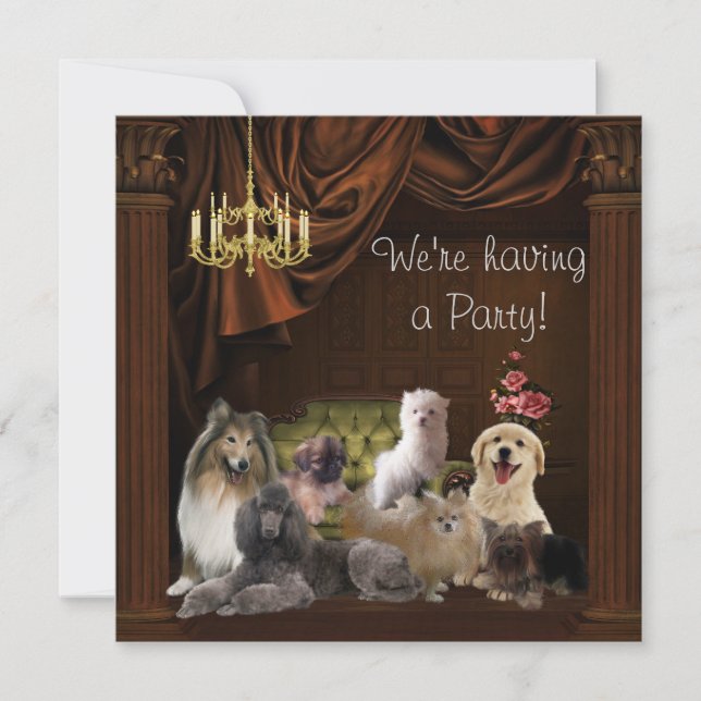 Plantilla de invitación de fiesta de perros cachor (Anverso)