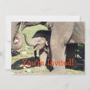 Plantilla de invitaciones para elefantes bebés
