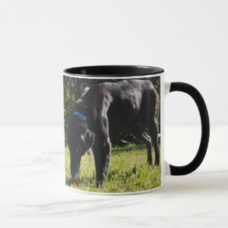Plantilla de la Dos-Imagen de la taza