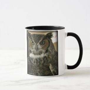 Plantilla de la Dos-Imagen de la taza del búho