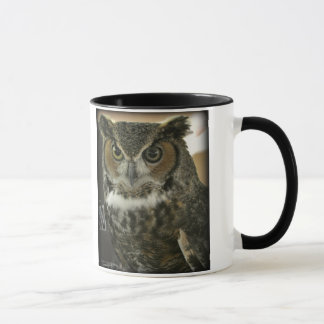 Plantilla de la Dos-Imagen de la taza del búho