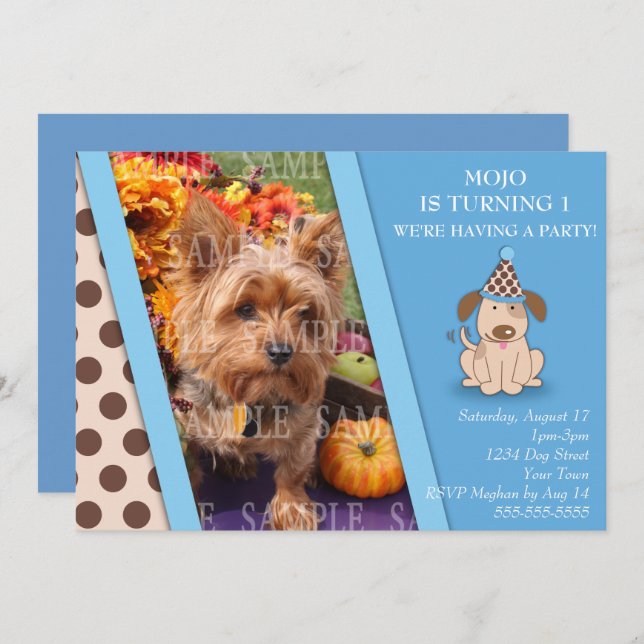 Plantilla de la foto del fiesta del perrito (Anverso / Reverso)