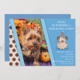 Plantilla de la foto del fiesta del perrito