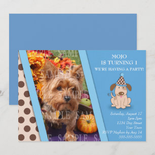 Plantilla de la foto del fiesta del perrito