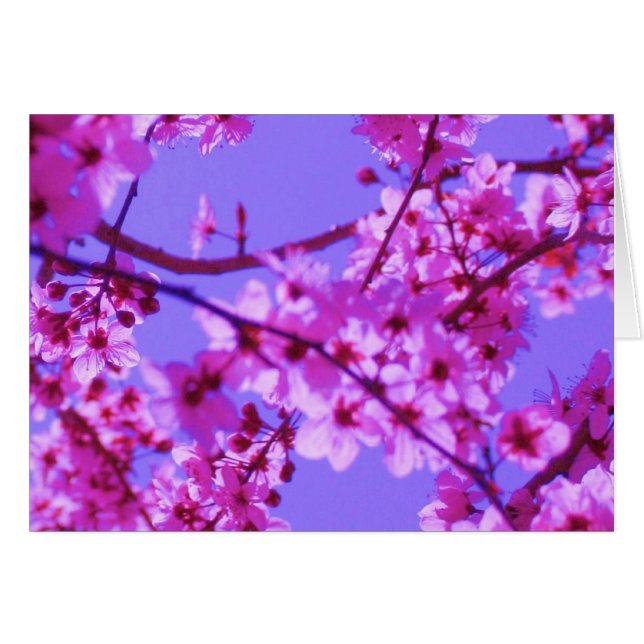 Plantilla de la tarjeta de Sophie (Anverso (Horizontal))