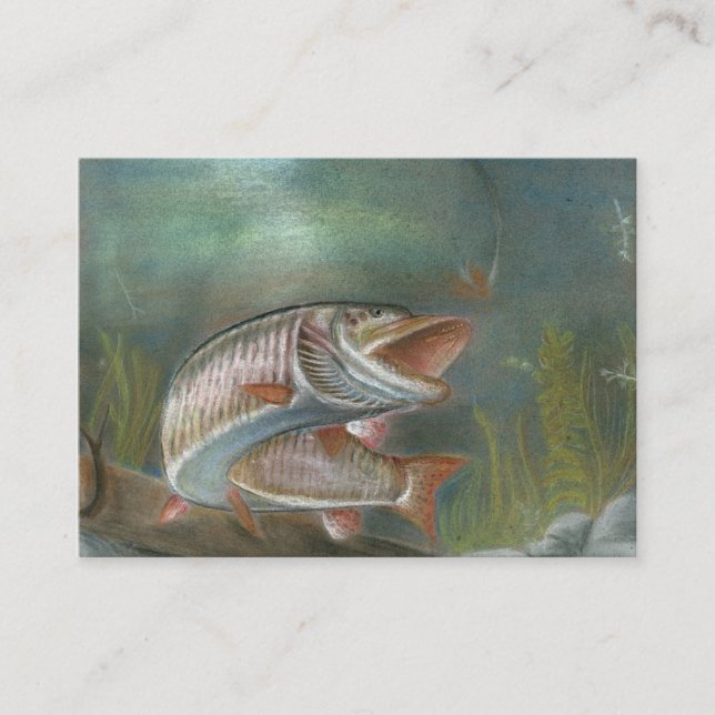 Plantilla de la tarjeta de visita de MUSKIE (Anverso)