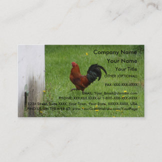 Plantilla de la tarjeta de visita del gallo