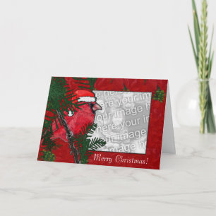 Plantilla de la tarjeta - navidad cardinal