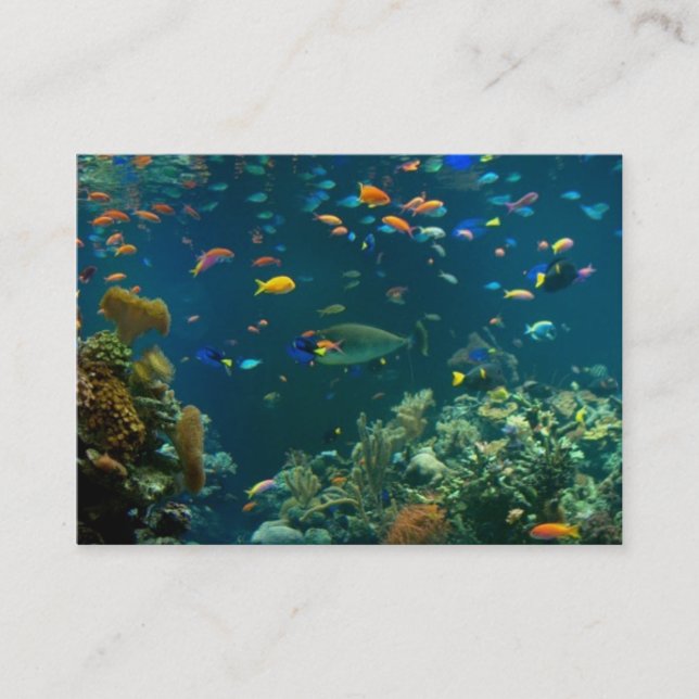 Plantilla de las tarjetas de visita del acuario (Anverso)