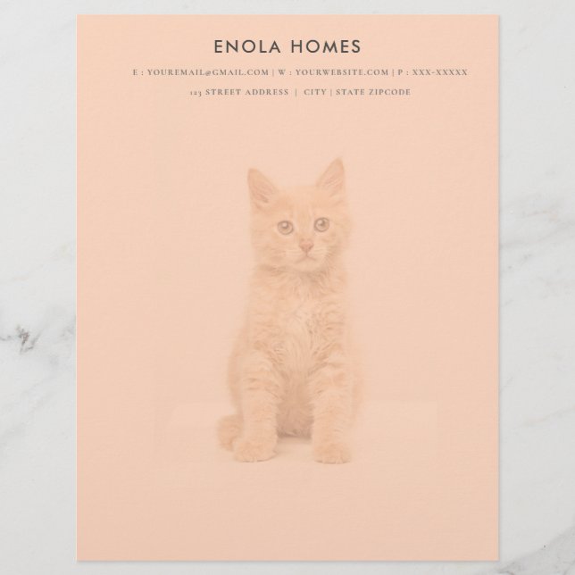 Plantilla de membrete de kitten de corte (Anverso)