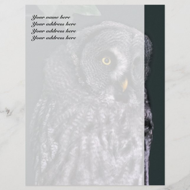 Plantilla de membrete de lechuza gris grande (Anverso)