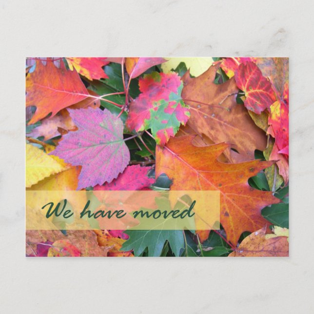 Plantilla de nueva dirección del suelo del bosque (Anverso)