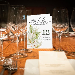 Plantilla de número de tabla de Pampas Delicadas d