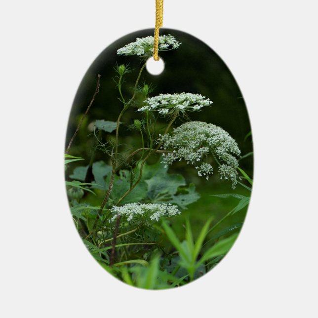 plantilla de ornamento oval (Frente)