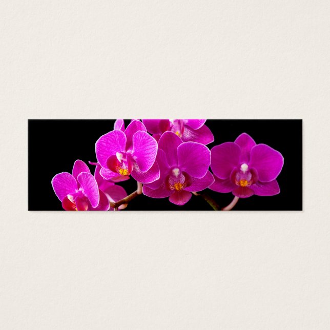 Plantilla de orquídeas de flores de orquídeas de c (Frente)
