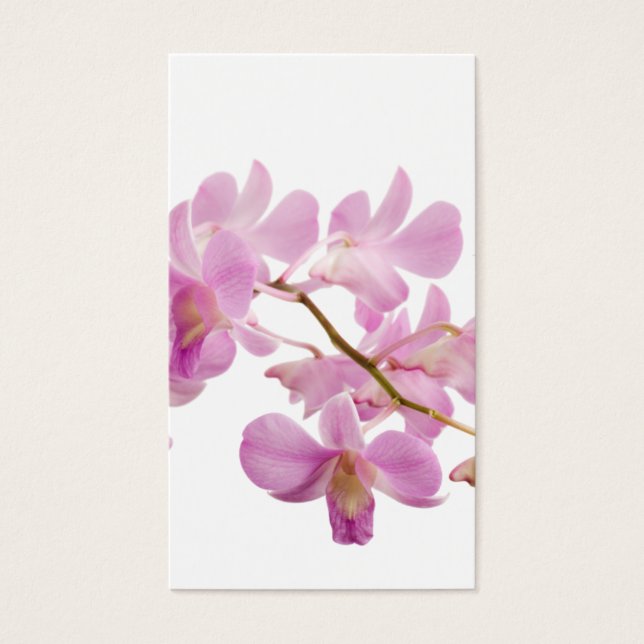 Plantilla de orquídeas de flores de orquídeas de c (Frente)