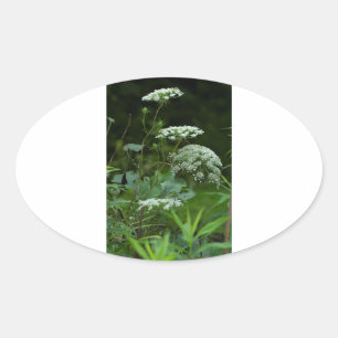 plantilla de pegatina oval