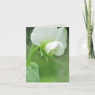 Plantilla de personalizable de tarjetas de felicit