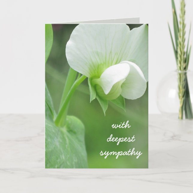 Plantilla de personalizable de tarjetas de felicit (Anverso)
