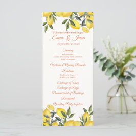 Plantilla de programa de boda personalizado de lim