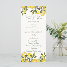 Plantilla de programa de boda personalizado de lim
