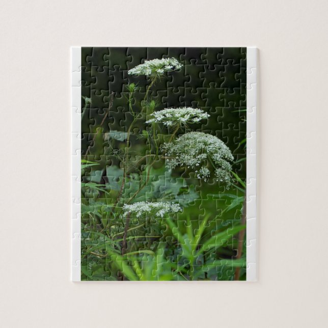 plantilla de rompecabezas (Vertical)