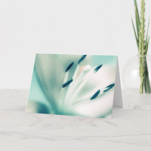 Plantilla de tarjeta de felicitación ~Flor de Patc (Anverso)