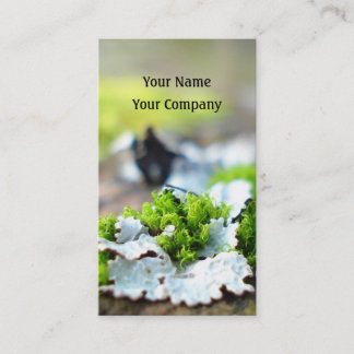 plantilla de tarjeta de trabajo de naturaleza