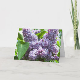 Plantilla de tarjeta Lilac francés Get Well Card