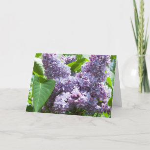 Plantilla de tarjeta Lilac francés Get Well Card