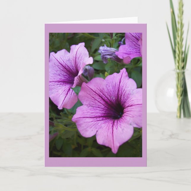 Plantilla de tarjeta Petunia (Anverso)
