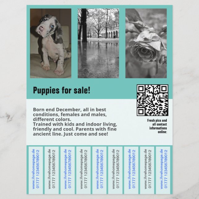 plantilla de volante de cachorros en venta con cód (Anverso)