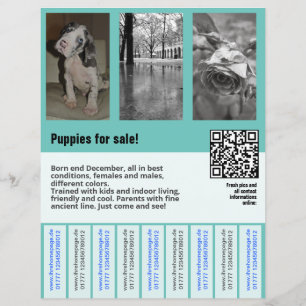 plantilla de volante de cachorros en venta con cód