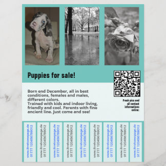plantilla de volante de cachorros en venta con cód