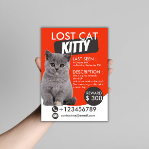 Plantilla de volante de gato perdida - Mascota fal
