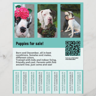 plantilla de volante para la venta de perros 
