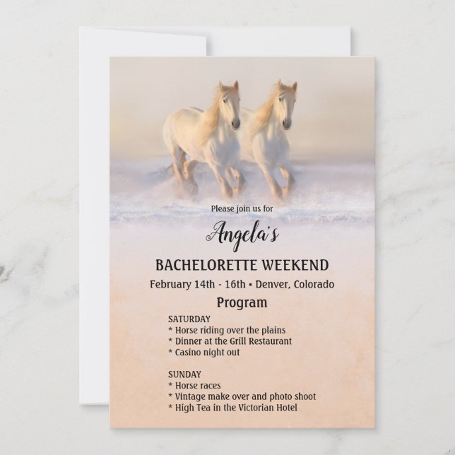 Plantilla del programa de fin de semana de Bachelo (Anverso)