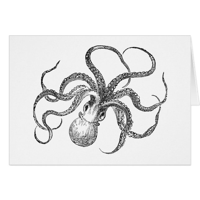 Plantilla del pulpo del vintage (Anverso (Horizontal))