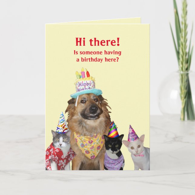 Plantilla divertida para cumpleaños (Anverso)