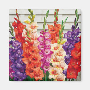 Plantilla fotográfica 2 x 2 imán refrigerador cu