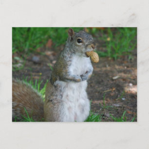 Plantilla horizontal de postal - Personalizada