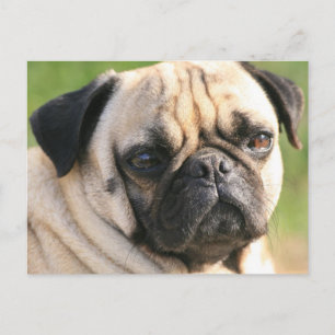 Plantilla horizontal de postal - Personalizada