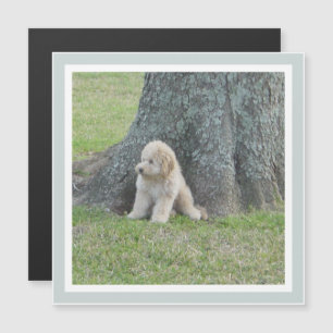 Plantilla moderna Cuta cuadrada verde Keepsake Mag