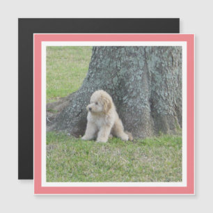 Plantilla moderna para foto Imán cuadrado lindo de