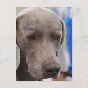 Plantilla vertical postal - Personalizada