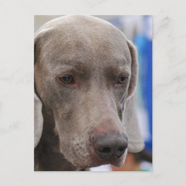 Plantilla vertical postal - Personalizada (Anverso)