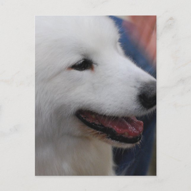 Plantilla vertical postal - Personalizada (Anverso)