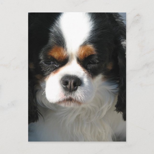 Plantilla vertical postal - Personalizada (Anverso)